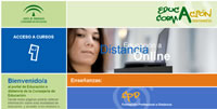 Página Web de FEDAN. Portal de Educación, Formación a Distancia.